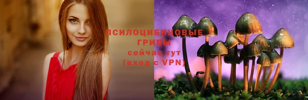 индика Алзамай