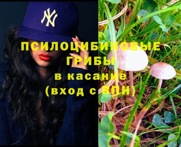 прущая мука Алексин