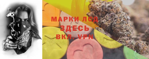 индика Алзамай